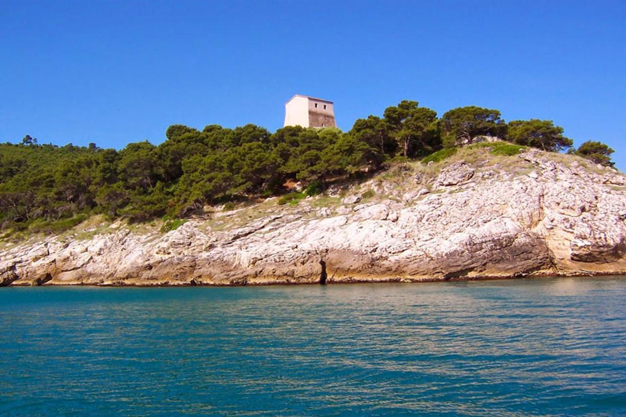 Villa Ulimare Family Residence Vieste Kültér fotó